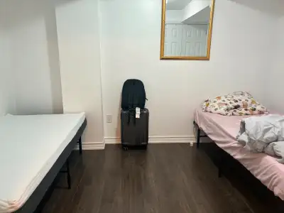 Room on Rent for Girl in Sharing (Sandalwood- Torbram)