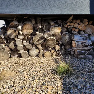 Seasoned Dry Firewood. Under cover, dry and clean. Must pickup and help load. 2 half to loads. Perfe...