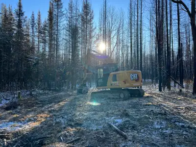land clearing. land management, View more