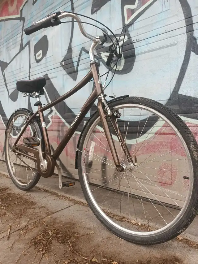 Raleigh 8Speed Bike 