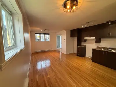 Magnifique 3 ½ lumineux, propre et bien entretenu,Grande terrasse privée, situé au rue Justine-Lacos...