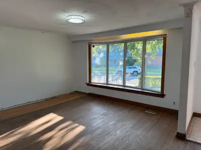 Full House for Rent