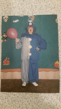 Ladies Clown Costume