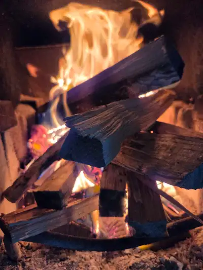 Located just West of Hagersville. Easy location to drop logs or woodchips for tree service companies...