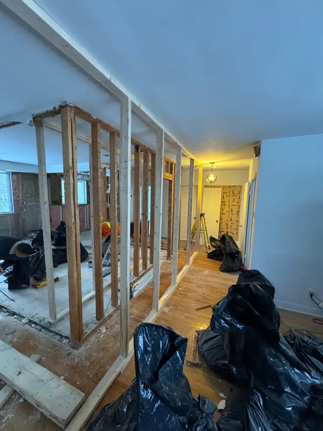 renovation 65183690446209121