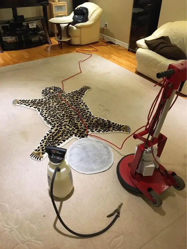 Comfort House Carpet and Couch Cleaning62863728247681121