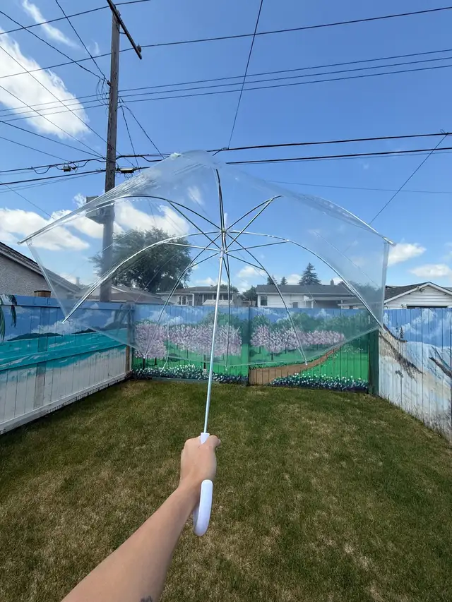 Clear Dome Bubble Umbrella – Stylish, Windproof, Wedding-Ready62863285662081122