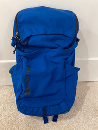 Patagonia 20L Backpack