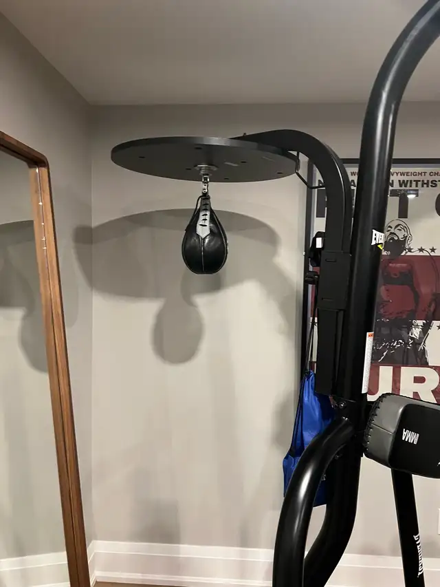 Everlast Boxing Bag560638936210493441
