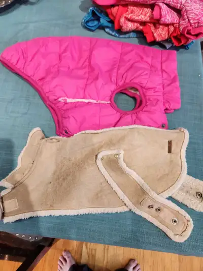 dog coats, View more