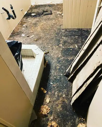 Home Renovation Wizards‍♀️, View more