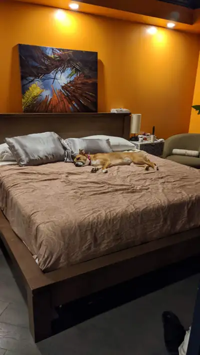 Crate and barrel $2000 bed frame from 2018, solid walnut with large platform style base and detailed...