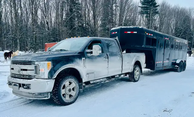 Remorque Chevaux 4places in Accessories in Lanaudière - Image 3