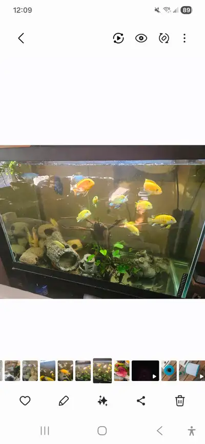 75 gallon aquarium, View more