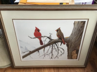 Picture of Cardinals