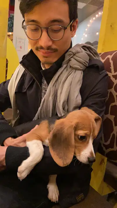 Vous cherchez un homme responsable, dynamique et amoureux des animaux pour prendre soin de votre chi...