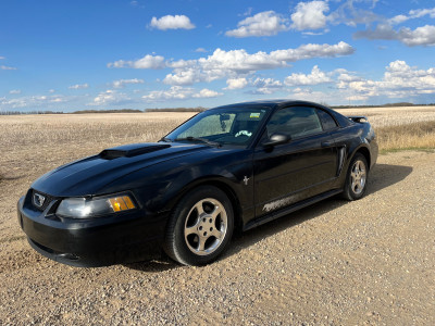 04 Ford Mustang