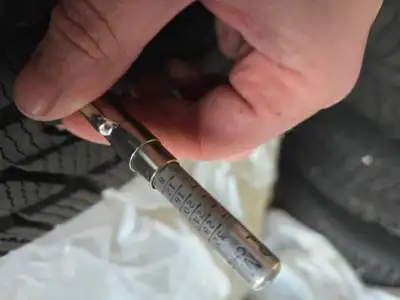 Westlake winter tires with 8-9 32nds of tread life left good for at least 2 more winters. Steelies w...