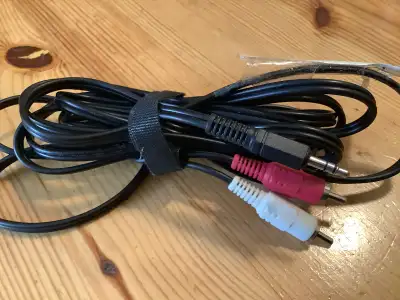 Ten foot (10’) 3.5 audio to RCA cable