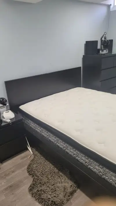 1Bedroom Basement in stouffville