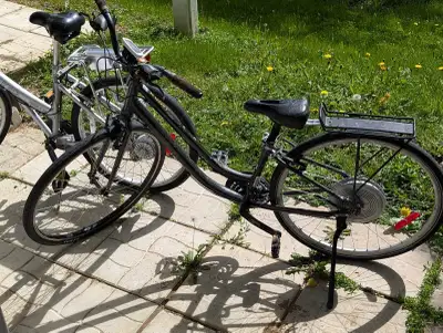 Miele Umbria Vélo Hybride , View more