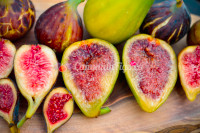 2024 *** FIG TREES *** 80 varieties *** New Season *** 