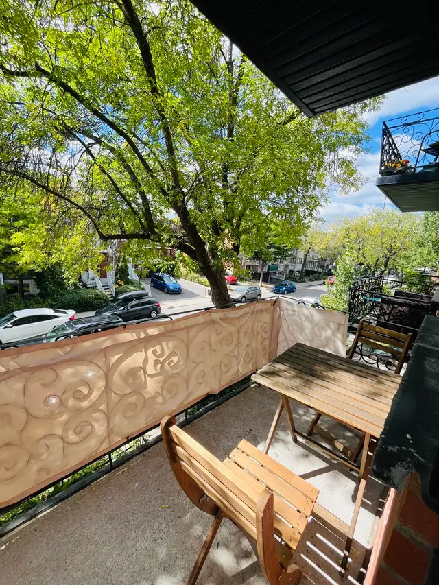 31/2 Lumineux sur la rue Chabot coin Jean Talon in Long Term Rentals in City of Montréal - Image 10