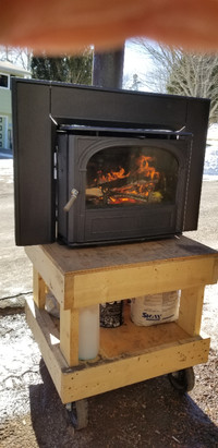 Fireplace Wood Insert