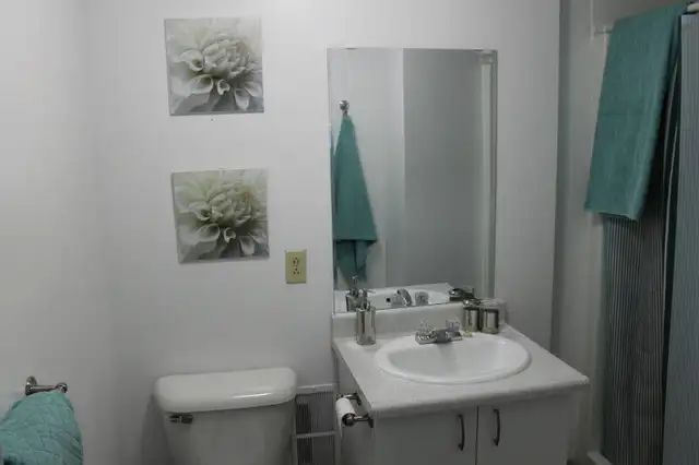 Severn Court Student Residence (Fleming, Trent, Seneca Aviation) in Long Term Rentals in Peterborough - Image 10