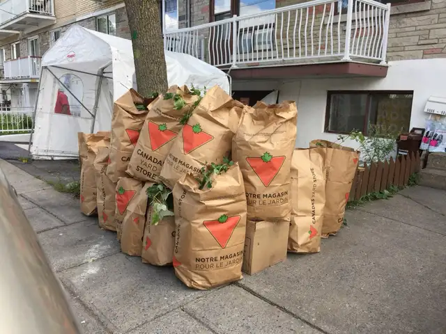 Tonte de pelouse in Lawnmowers & Leaf Blowers in City of Montréal - Image 4