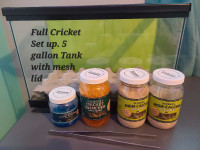 FULL Cricket Setup!!
