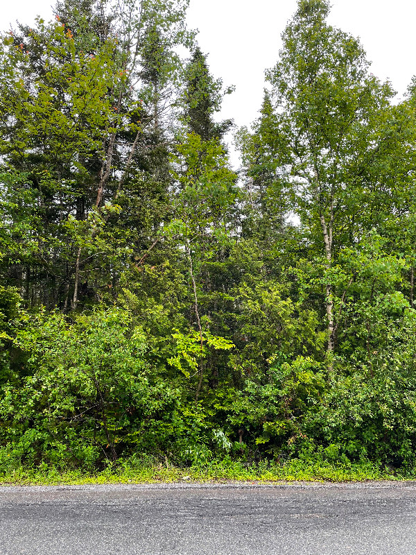 LAND FOR SALE -1  BLDG. LOT - 860 HILLCREST  ROAD, SAINT JOHN in Land for Sale in Saint John - Image 3