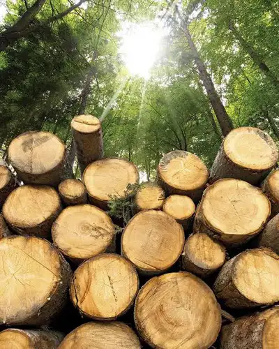 Free Logs Delivered , View more