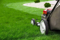 Lawn Mowing Services 