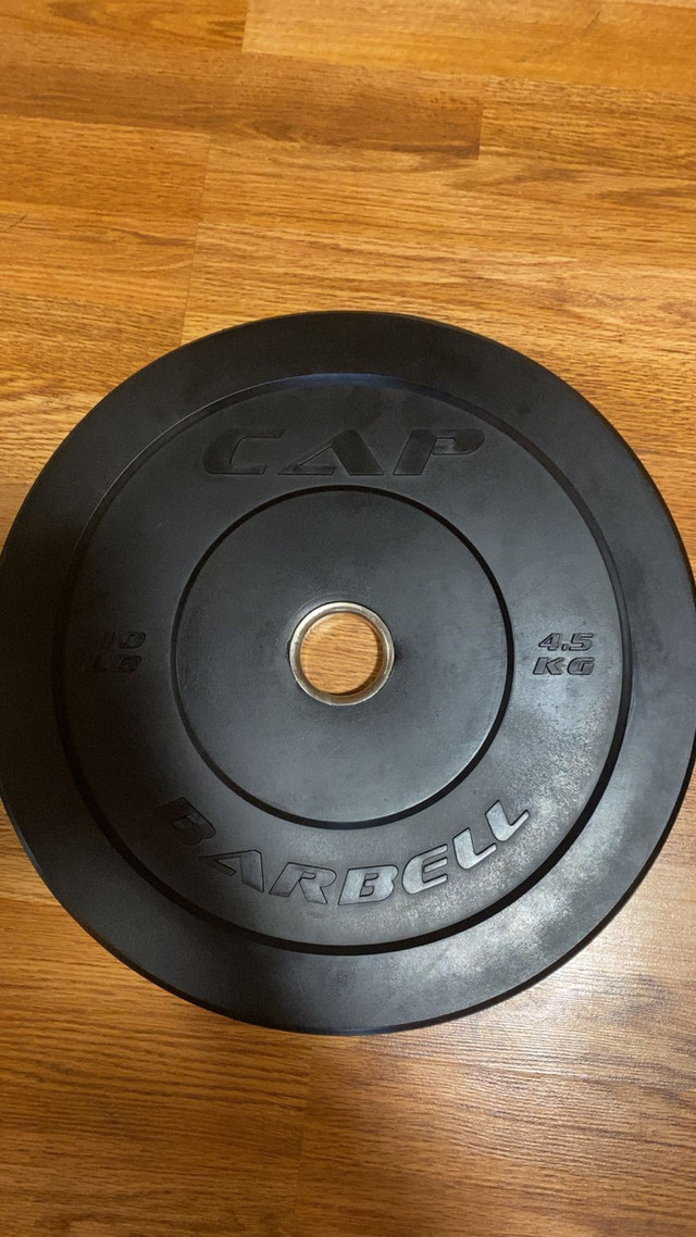 2x25lb Bumper Plate in Other in Ottawa - Image 2