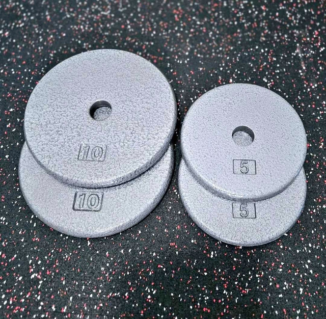 5lb & 10lb set 1-inch Cast Iron Weight Plate - New! in Exercise Equipment in Oshawa / Durham Region
