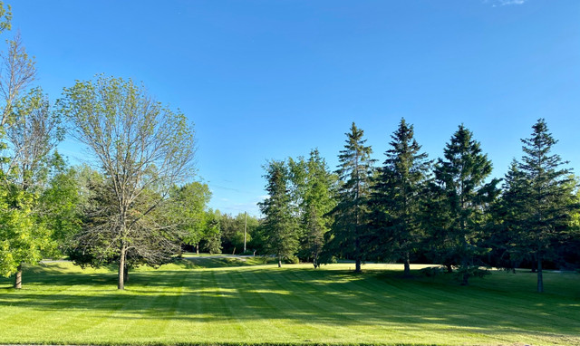 Lawn Care Service  in Lawn, Tree Maintenance & Eavestrough in Belleville - Image 4