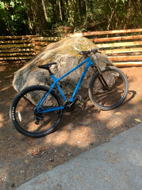 Norco mountain bike 