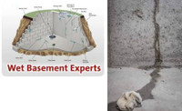 basement leaks repairs - fast and free estimates