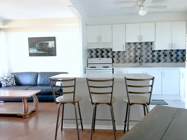 1 Room in 2 Bedroom Apartment in Room Rentals & Roommates in Ottawa - Image 4