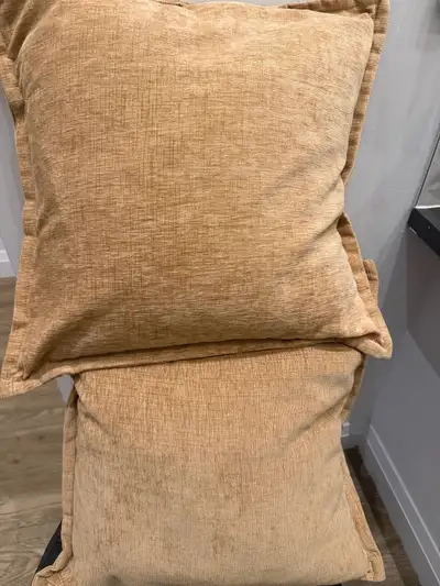 Two Throw Pillows, View more