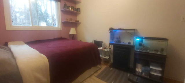 Room for rent in shared house in Room Rentals & Roommates in City of Toronto - Image 3