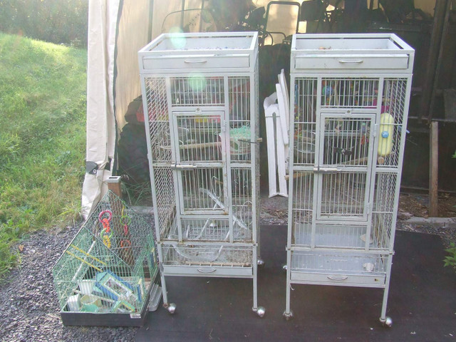 2 Deluxe Medium Bird Cages & 1 Small Cage in Accessories in Sudbury