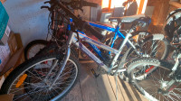 Selling the Blue Nitro Bike (Behind the grey bike)