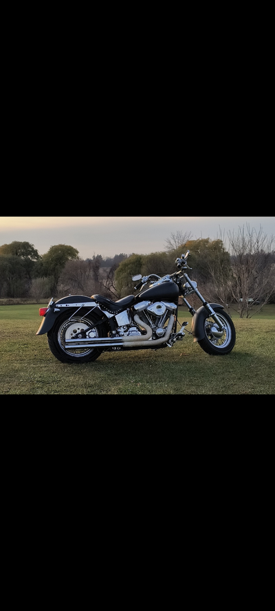 Custom Softail, Evo motor, 5 speed trans. 600 miles since build. Runs strong. $6000 obo