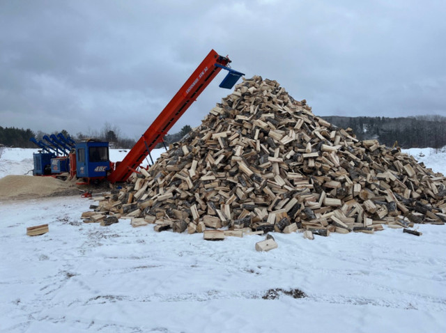 Firewood processing in Other in Muskoka