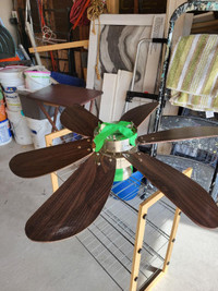 ceiling fan 6 blades $50 miss
