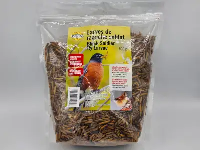 Picardie black soldier fly larvae 500gr./larves de mouche soldat, View more