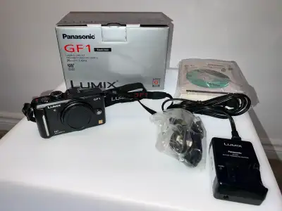 Panasonic Lumix GF1 Micro Four Thirds camera. Body only. In good condition other than a small crack...