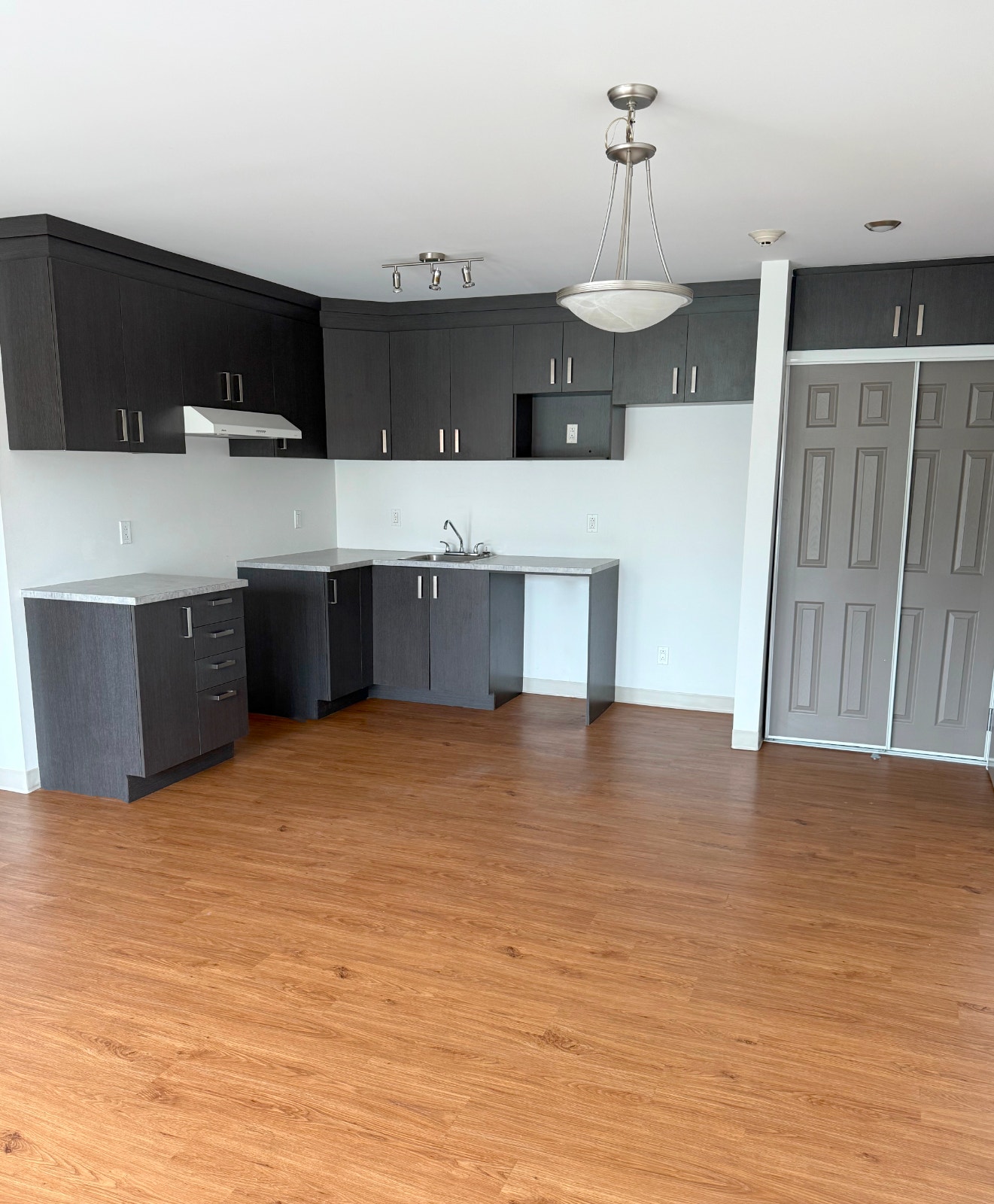 41/2 A LOUER $1250 PAR MOIS ST-AGATHE-DES-MONTS — photo 3